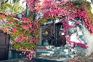 荷兰选手尽展拼搏精神，力争一决高下