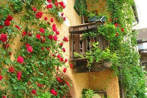 切尔西逆风翻盘，小组出线希望重燃