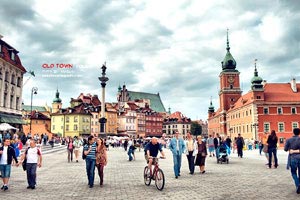 加拿大选手发挥稳定，居功至伟跻身前列