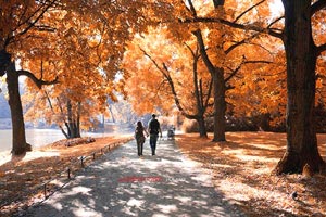 莱比锡红牛惊险逆转，引领胜利前行